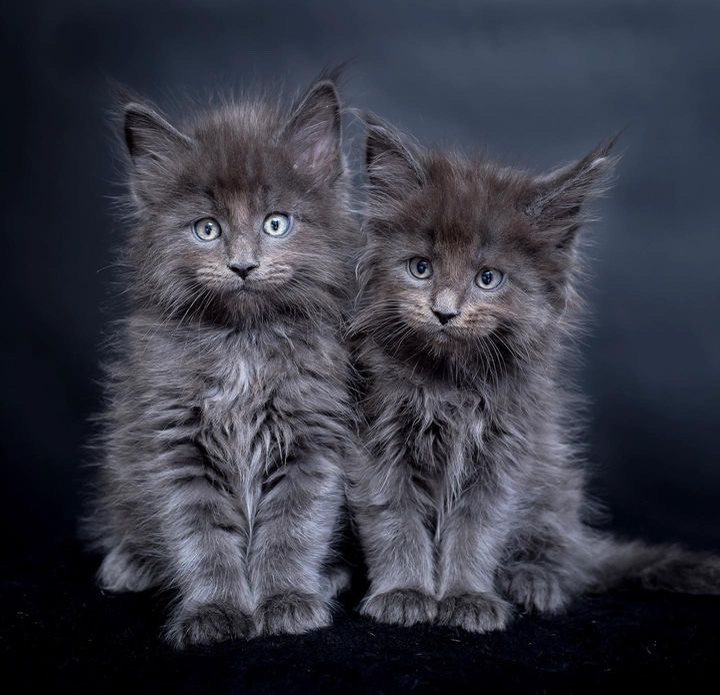 20231201 183753893 iOS