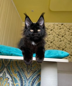 16a276ca 5718 4dfe b792 53f58526739b