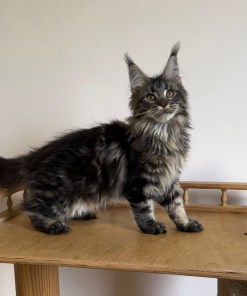 19fba6c6 29e1 4a59 91db 95cfd466af40