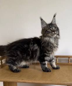 1aad401e 2f7d 4672 9e55 37b773c114d5