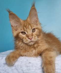 1d120767 8141 49a8 b04a d0601e1966a6