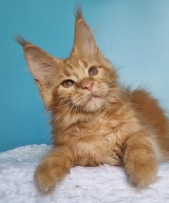 23e37c07 9404 4b1e 832d 9cfd022a3611