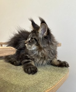 2453fdc7 de64 4826 a839 e12712fb478a 1