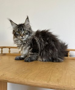 2b143c2d 2dbb 42e0 8bfe cacd285342e4