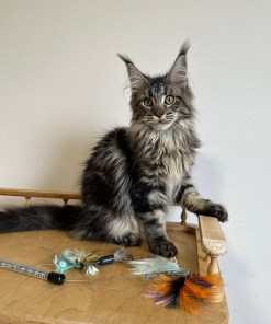 316ba40b 9ef8 448c bd56 b87c15d5e603 1