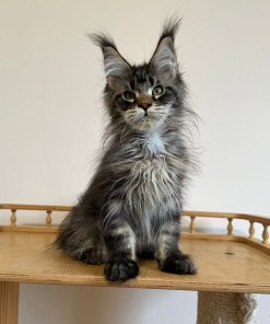 5a603f57 bed5 4276 a956 db0ba8988f7e