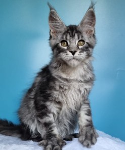 78ad3aea 629d 4132 b08e 617a2267d8cd