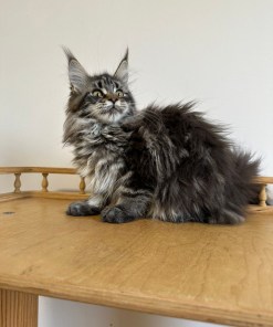 9086ce99 4e79 434c b4ad 1a2b04023fa1 1