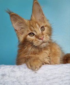 9275c0eb 6180 4b3a a12c 0adf639f5db9