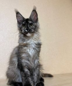 WhatsApp Image 2024 04 02 at 13.44.56 0b620654