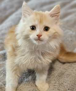 WhatsApp Image 2024 04 25 at 17.27.56 ffbc033c