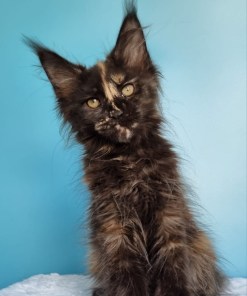 b7823213 8c3d 46d7 973c 3c45624dbf76