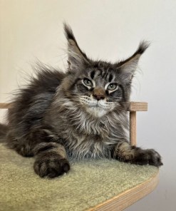 b8c6c16d 6bc8 434d acc6 b2d63930c545