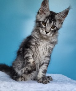 d5e2d087 8a9c 4067 a1e4 e493e6ed1baf