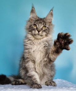 dd6cb65e 5c6b 42dc 9ac2 00ffcfbb7a77