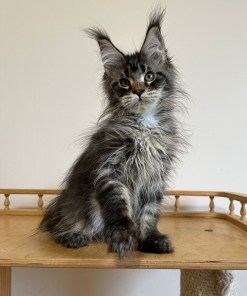 e90ee1fc 864e 43d9 904d dfb4386cfafe