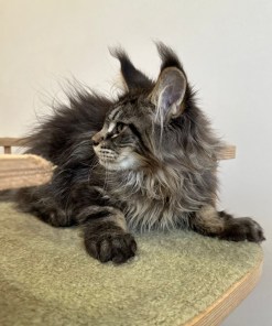 fdacf362 3359 4878 a0e8 db6bcf78d6b4 1