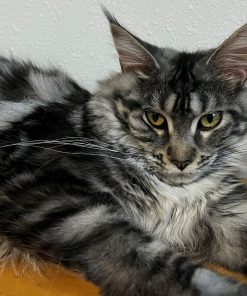 20220605 215702031 iOS scaled