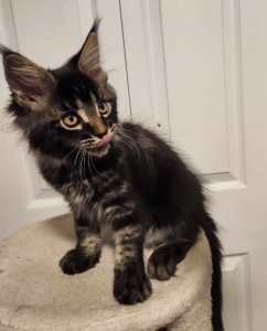 IMG 20240814 WA0080 1