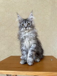 43187f7a 0f65 47a3 90e5 7b8716412771