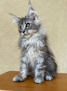 c41e88ef 4930 48b1 96c4 3c24b6e5a0c7