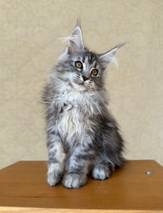 c84f8fbd e4c2 4055 8935 75b9a997ee0c