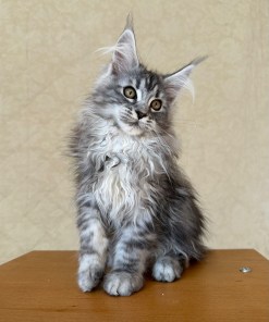 c84f8fbd e4c2 4055 8935 75b9a997ee0c