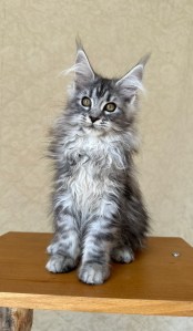 f79ebc47 2f77 4c34 8536 570b9af9f6ca