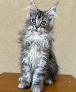 f79ebc47 2f77 4c34 8536 570b9af9f6ca