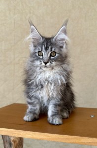 fdad12e8 3293 43f1 83dd 3b9ab01a0598