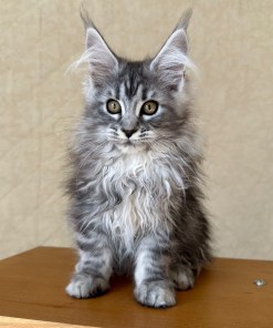 fdad12e8 3293 43f1 83dd 3b9ab01a0598