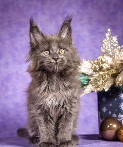 WhatsApp Image 2026 01 05 at 8.38.21 AM 1