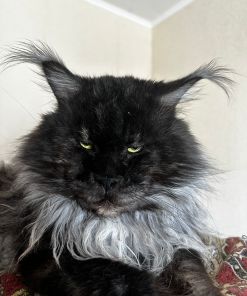 WhatsApp Image 2026 01 05 at 8.47.34 AM