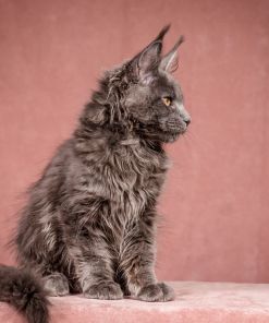 WhatsApp Image 2026 01 05 at 9.06.28 AM 1