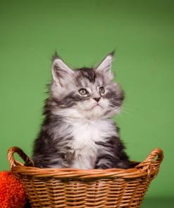 WhatsApp Image 2026 01 05 at 9.12.41 AM