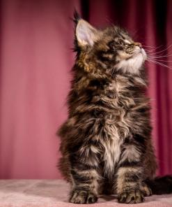 WhatsApp Image 2026 01 05 at 9.32.54 AM