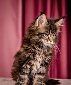 WhatsApp Image 2026 01 05 at 9.32.55 AM