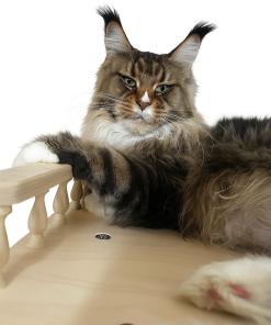 WhatsApp Image 2026 01 05 at 9.37.58 AM