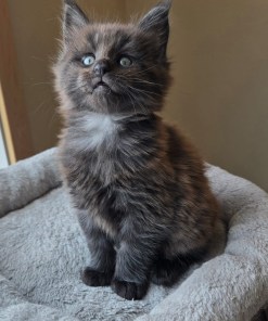 42f04c5f 9017 49a9 9d67 900a61d9fd8a